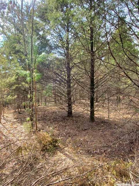 431 Old Springfield Rd, Quitman, AR 72131 photo 4