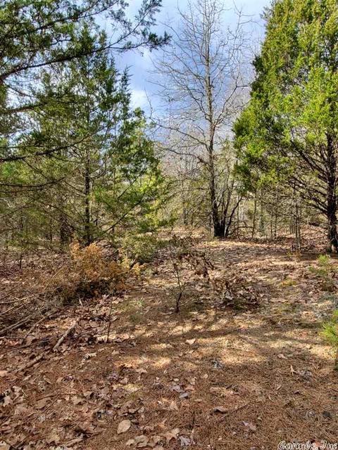 431 Old Springfield Rd, Quitman, AR 72131 photo 1