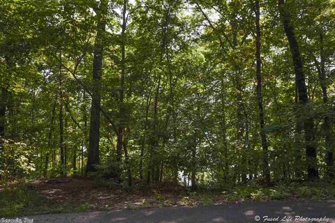 480 Lower Ridge Cir, Edgemont, AR 72044 photo 35