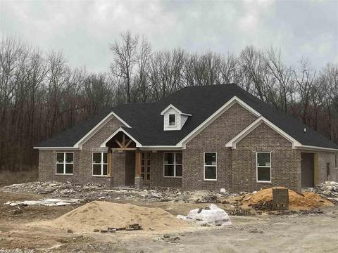 10097 Sanibel Loop, Alexander, AR 72002 photo 1