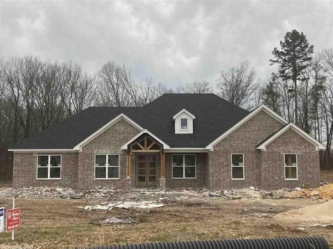 10097 Sanibel Loop, Alexander, AR 72002 photo 2