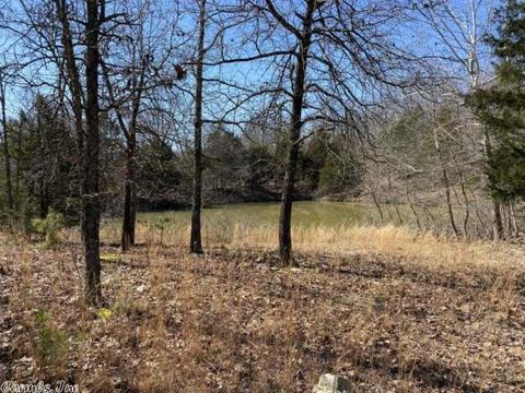 1834 Love Trail Rd, Franklin, AR 72536 photo 18
