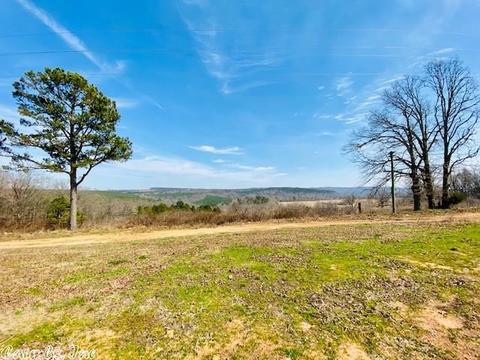 1383 Cochran Rd, Mountain View, AR 72560 photo 4