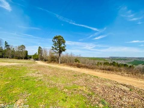 1383 Cochran Rd, Mountain View, AR 72560 photo 13