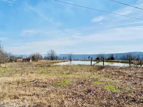 1383 Cochran Rd, Mountain View, AR 72560 photo 10