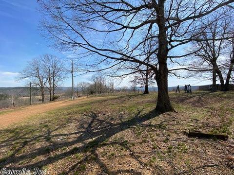 1383 Cochran Rd, Mountain View, AR 72560 photo 6