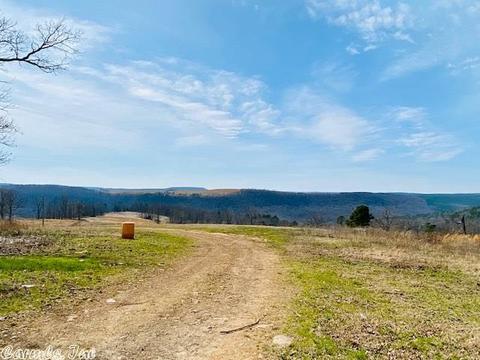 1383 Cochran Rd, Mountain View, AR 72560 photo 11