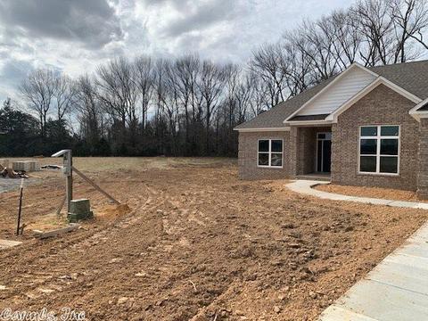 19 Bullet Davis Dr, Greenbrier, AR 72058 photo 5