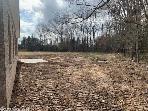 19 Bullet Davis Dr, Greenbrier, AR 72058 photo 4
