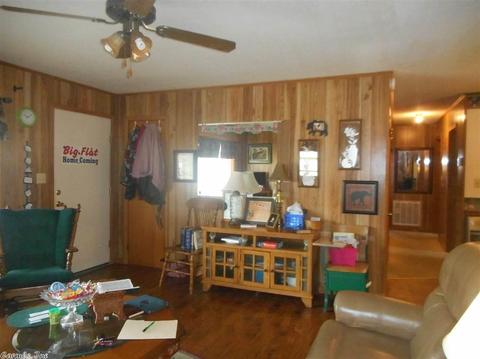 813 Maple Ave, Mountain View, AR 72560 photo 17