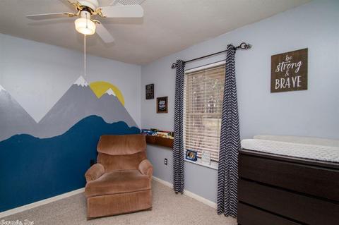 17 Spradlin Rd, Conway, AR 72032 photo 24