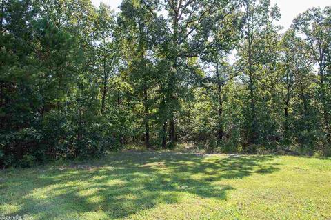 3272 Kelley Ln, Alexander, AR 72002 photo 23