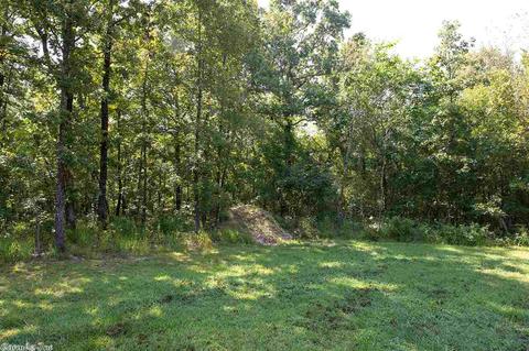 3272 Kelley Ln, Alexander, AR 72002 photo 24
