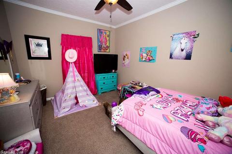 3272 Kelley Ln, Alexander, AR 72002 photo 13