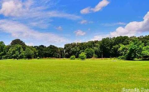 14 Saddler Rd, Conway, AR 72032 photo 1