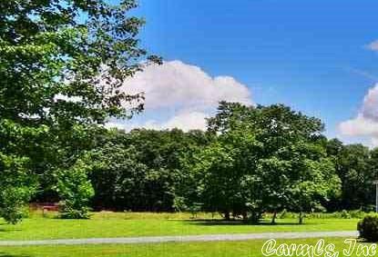 14 Saddler Rd, Conway, AR 72032 photo 4
