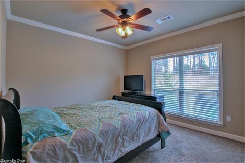 11407 Zuber Rd, Alexander, AR 72002 photo 34