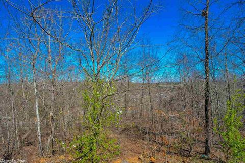 15117 Peak Loop, Alexander, AR 72002 photo 35
