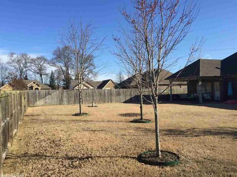 245 Gipson Cv, Conway, AR 72034 photo 24