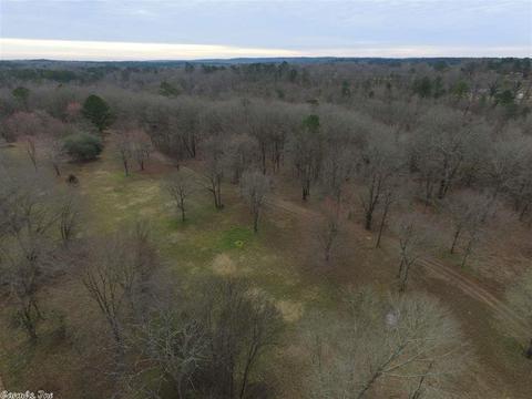 164 Palmetto Loop, Bismarck, AR 71929 photo 31