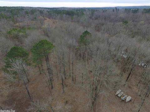 164 Palmetto Loop, Bismarck, AR 71929 photo 27