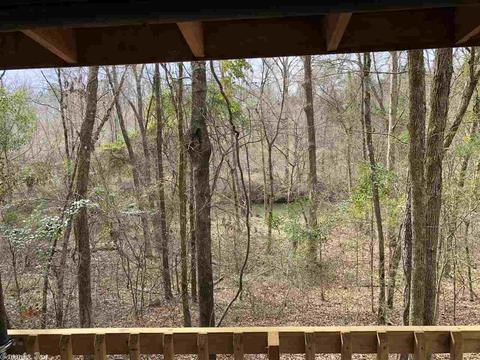 164 Palmetto Loop, Bismarck, AR 71929 photo 11