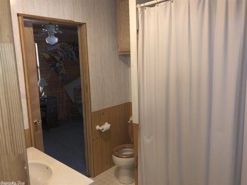 164 Palmetto Loop, Bismarck, AR 71929 photo 20