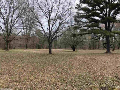 164 Palmetto Loop, Bismarck, AR 71929 photo 6
