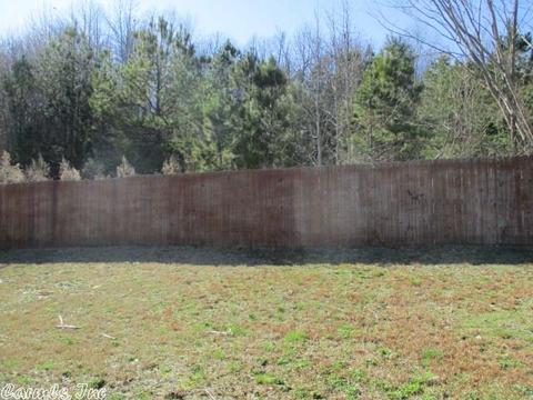 13288 Edmington Cv, Alexander, AR 72002 photo 3