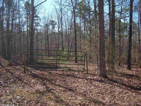 1919 Mcelroy Rd, Fox, AR 72051 photo 12