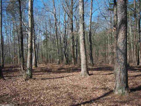 1919 Mcelroy Rd, Fox, AR 72051 photo 11