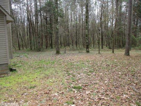 39 Rocky Ln, Bigelow, AR 72016 photo 5