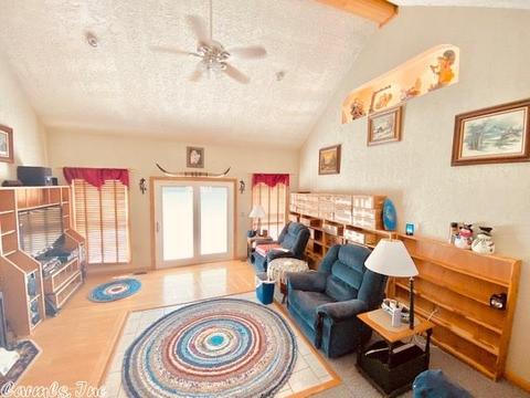 106 Little Pond, Mountain View, AR 72560 photo 4