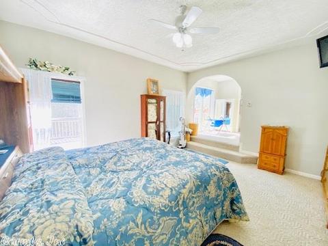 106 Little Pond, Mountain View, AR 72560 photo 13