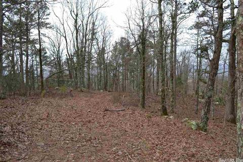 125 Ivory Trl, Marshall, AR 72650 photo 16