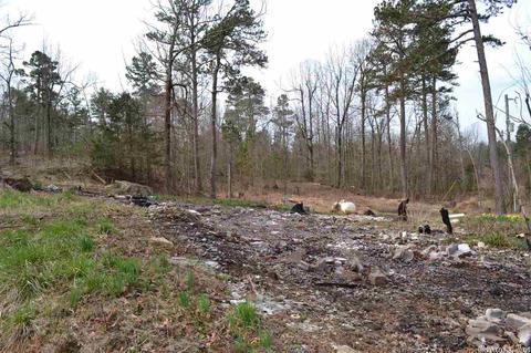 125 Ivory Trl, Marshall, AR 72650 photo 20