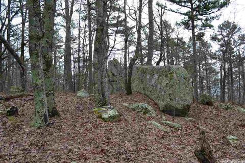 125 Ivory Trl, Marshall, AR 72650 photo 7