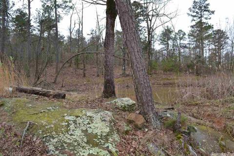 125 Ivory Trl, Marshall, AR 72650 photo 22