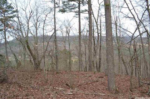 125 Ivory Trl, Marshall, AR 72650 photo 10