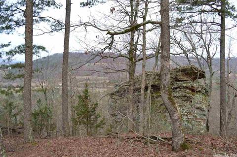 125 Ivory Trl, Marshall, AR 72650 photo 12