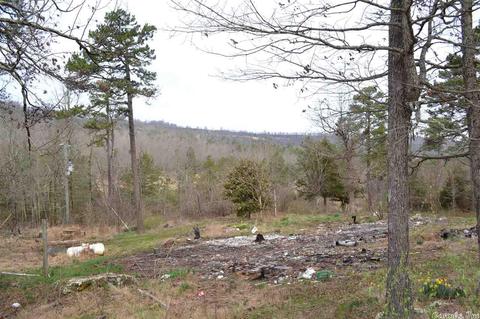 125 Ivory Trl, Marshall, AR 72650 photo 21