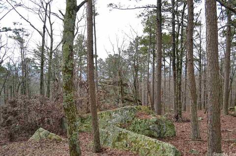 125 Ivory Trl, Marshall, AR 72650 photo 14