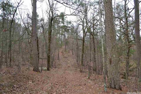 125 Ivory Trl, Marshall, AR 72650 photo 5