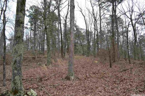 125 Ivory Trl, Marshall, AR 72650 photo 25