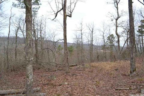 125 Ivory Trl, Marshall, AR 72650 photo 24