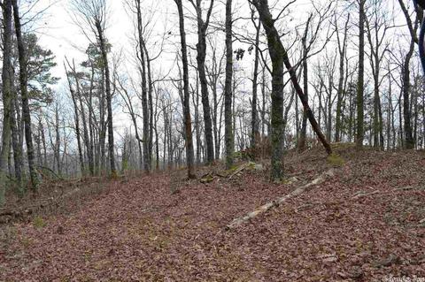 125 Ivory Trl, Marshall, AR 72650 photo 17