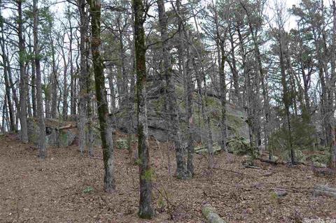 125 Ivory Trl, Marshall, AR 72650 photo 27