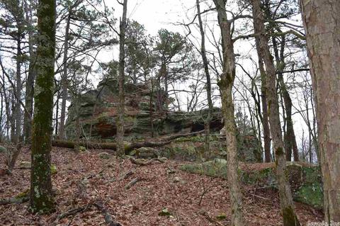 125 Ivory Trl, Marshall, AR 72650 photo 28