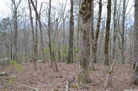 125 Ivory Trl, Marshall, AR 72650 photo 23