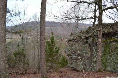 125 Ivory Trl, Marshall, AR 72650 photo 2